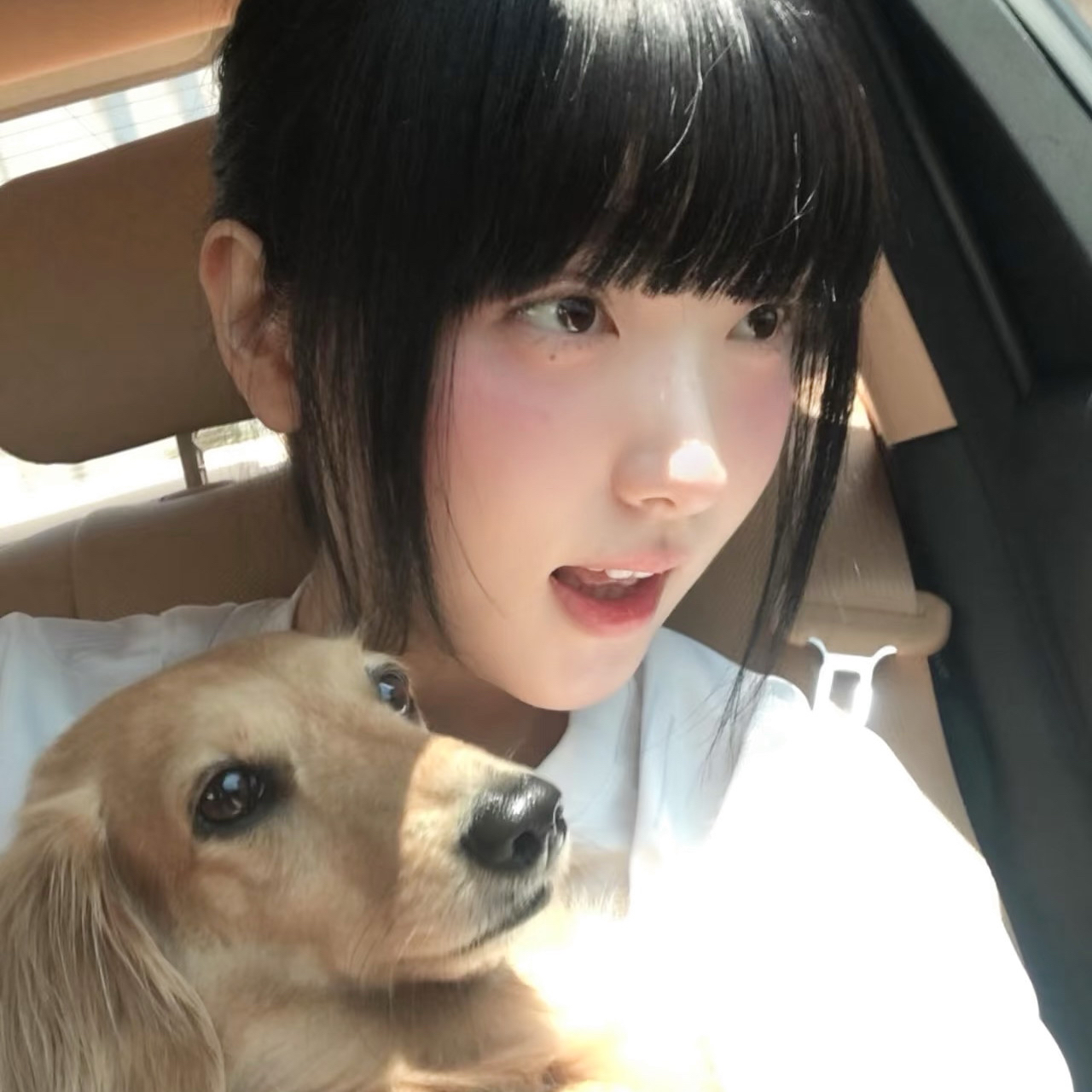 韩国麻豆专区在线免费观看V.2026.02.26.665截图5